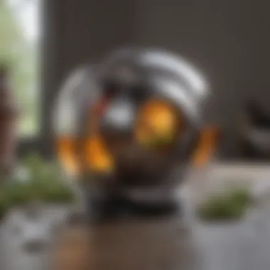 Magnificent Comprehensive Review of the Dyson Ball Animal 2 Magnificent Comprehensive Review of the Dyson Ball Animal 2