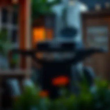 Magnificent Identifying the Optimal Source for Purchasing a Weber Gas Grill Magnificent Identifying the Optimal Source for Purchasing a Weber Gas Grill