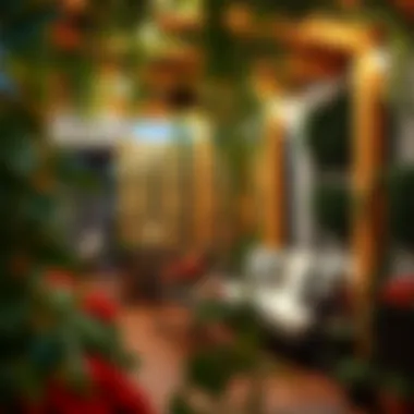 Magnificent Innovative Trellis Ideas for Privacy Magnificent Innovative Trellis Ideas for Privacy