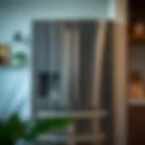 A Comprehensive Guide to Cleaning the Exterior of a Stainless Steel Refrigerator Introduction