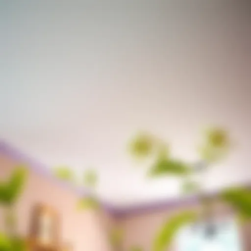 A Comprehensive Guide to Replacing Sheetrock Ceilings Introduction