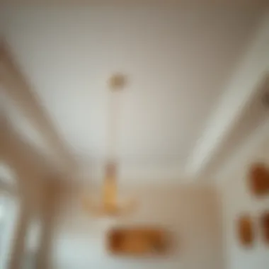 Notable A Comprehensive Guide to Replacing Sheetrock Ceilings Notable A Comprehensive Guide to Replacing Sheetrock Ceilings