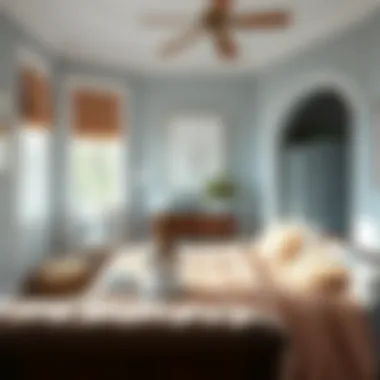 Aesthetic Transformation: Exploring Pictures of Painted Bedrooms Summary Aesthetic Transformation: Exploring Pictures of Painted Bedrooms Summary