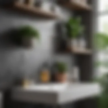 Chic Bathroom Shelving with Accessories Chic bathroom shelving with plants and accessories