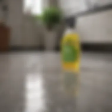 Eco-friendly cleaning products on a countertop