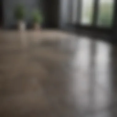 Color Choices for Practical Flooring Color variations in flooring that effectively disguise dirt