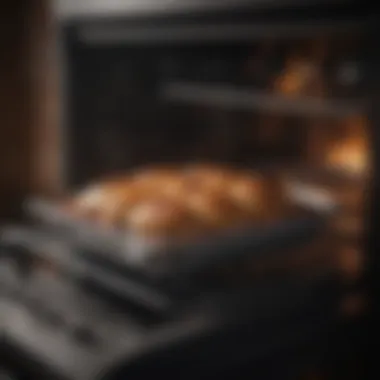 Gourmet Cooking Results Gourmet dish baked in a gas oven