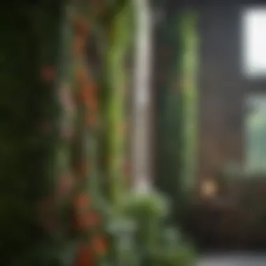 Vertical Garden Featuring Climbing Plants Vertical garden with climbing plants enhancing outdoor aesthetics