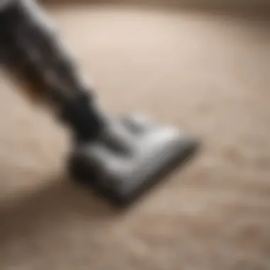 Close-up of vacuum cleaner nozzle capturing pet fur on carpet
