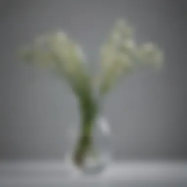 Stylish glass vase showcasing a minimalist arrangement