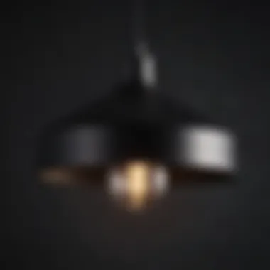 Close-up of a black pendant light showcasing its material texture