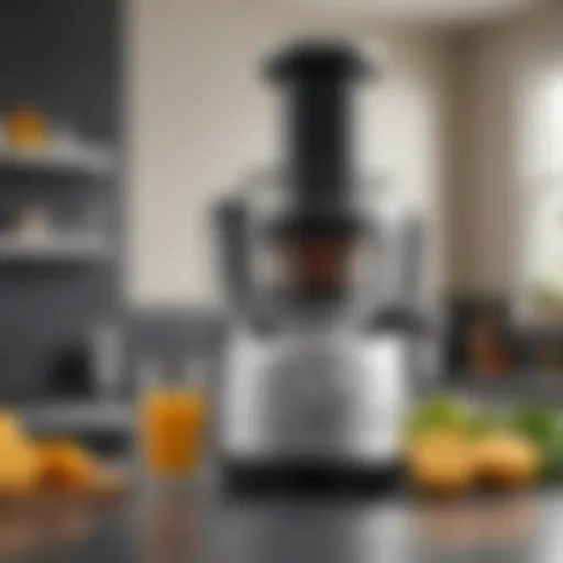 A sleek Breville juicer showcasing its modern design and robust construction