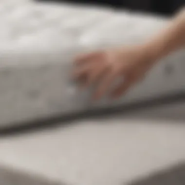 Gentle cleaning solution being applied to a mattress surface