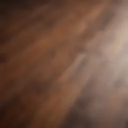 Elegant wood floor showcasing rich color tones