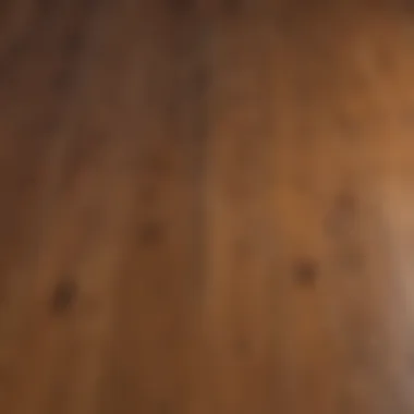 Comparison of different wood species and their finishes
