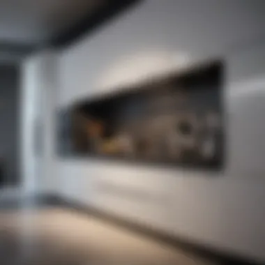 Stylish kitchen cabinet with innovative storage