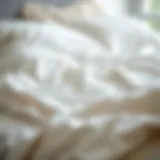 A close-up view of clean bed sheets on a neatly made bed