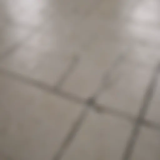 Close-up view of clean grout lines in a tiled surface