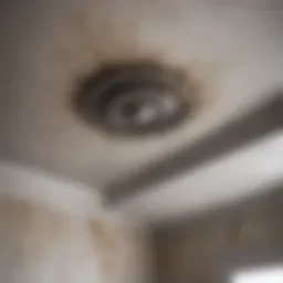 Mold growth on bathroom ceiling