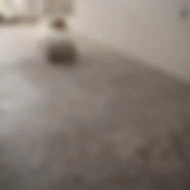 Transformation of Bathroom Tile Floors Before and after comparison of cleaned bathroom tile floor