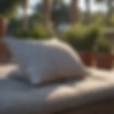 Effective Maintenance Tips for Patio Cushions Patio cushions being cared for with proper maintenance