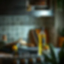 Cleaning Stainless Steel Appliances with Olive Oil Introduction