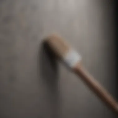 Brush Application on Textured Wall Close-up of a brush applying paint on a textured wall