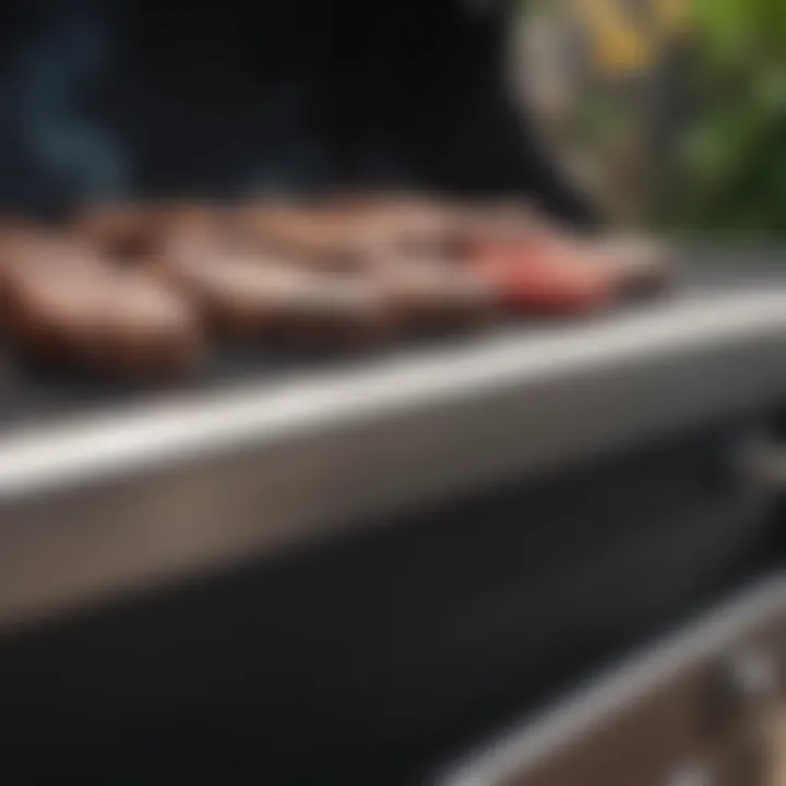 A sophisticated grill showcasing high-end features and craftsmanship