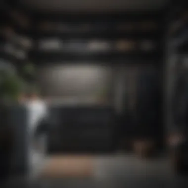 A neatly organized wardrobe showcasing dark clothing