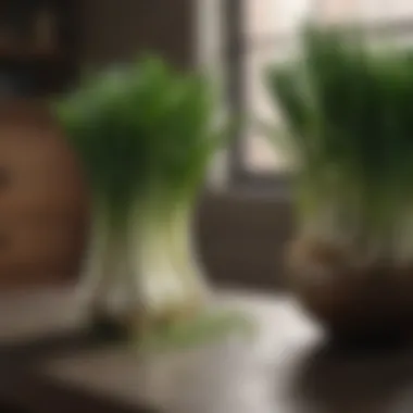 Nutritional benefits of green onions displayed visually
