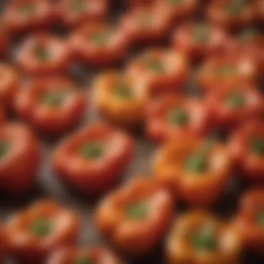 Close-up of sweet pepper seeds ready for planting