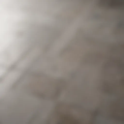 A close-up view of clean grout lines in a tiled floor