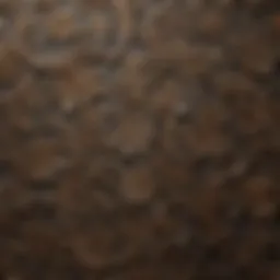 Stunning peel and stick wallpaper design showcasing intricate patterns