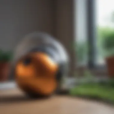 Comprehensive Review of the Dyson Ball Animal 2 Introduction Comprehensive Review of the Dyson Ball Animal 2 Introduction
