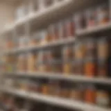 Organized pantry with clear containers showcasing various food items