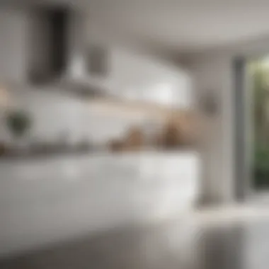 Modern Glossy White Cabinets Minimalist kitchen with glossy white cabinets