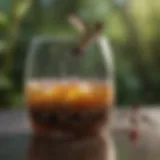 Fresh ingredients for hummingbird nectar showing sugar and water in a clear container