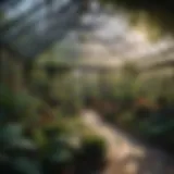 A beautifully designed backyard greenhouse with vibrant plants inside