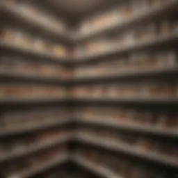 Neatly arranged pantry shelves with labeled containers