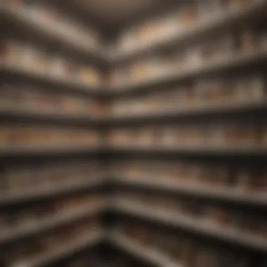 Neatly arranged pantry shelves with labeled containers