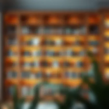 Stylish wooden bookcase showcasing a variety of book styles