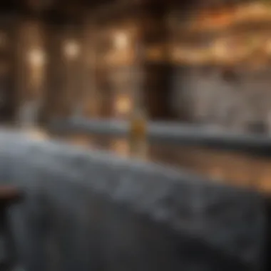 Contemporary bar fixtures and countertops showcasing premium materials