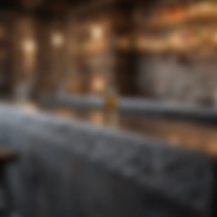Contemporary bar fixtures and countertops showcasing premium materials