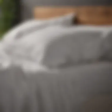 Softness of Bamboo King Size Sheets Bamboo king size sheets showcasing their softness