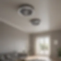 Ceiling drying setup with fans and dehumidifiers