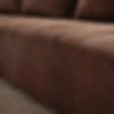 Close-up view of a chocolate stain on a fabric couch