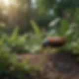 A lush garden with various plants attracting beneficial insects
