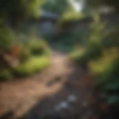 A well-maintained yard with proper pest management techniques