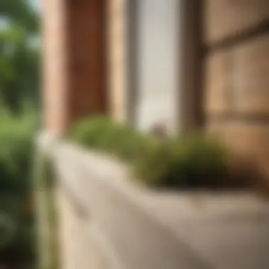 Homeowner applying wasp deterrents around their property