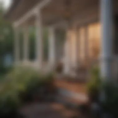 Prevention: Keeping Flies at Bay Preventive measures for a fly-free outdoor space